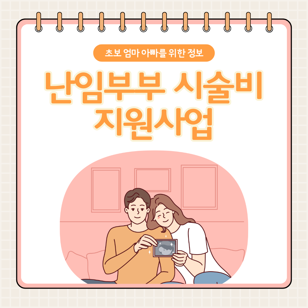 난임부부 시술비 지원사업